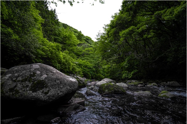 風景・自然の撮影実績 2024.06.15